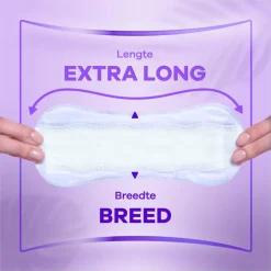 Always Dailies Protect Extra Long Big Pack