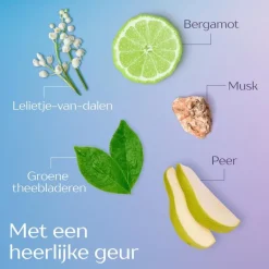 Andrélon Scalp Care shampoo scrub 200 ML