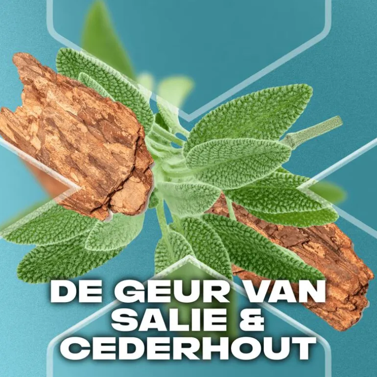 AXE Apollo Anti-Transpirant Deodorant Spray 150 ML