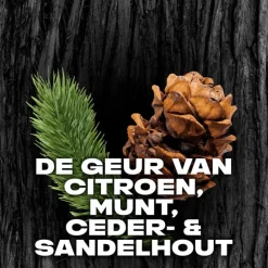 AXE Black Anti-Transpirant Deodorant Roller 50 ML