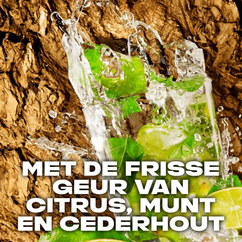 AXE Mojito & Cedarwood Deodorant Bodyspray 150 ML