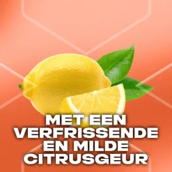 AXE Sunset Fresh Showergel 250 ML