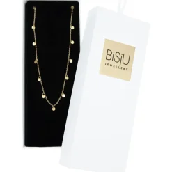 BiSjU Jewellery Ketting Munt Gold Plated
