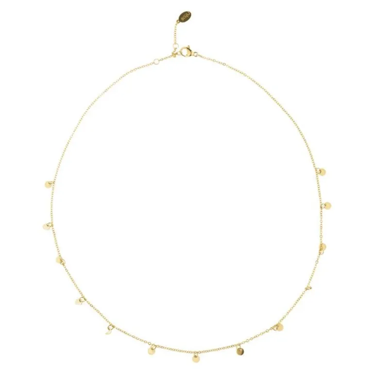 BiSjU Jewellery Ketting Munt Gold Plated