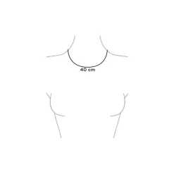 BiSjU Jewellery Ketting Munt Gold Plated