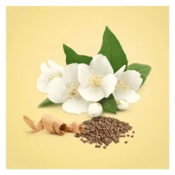 Calvin Klein Beauty eau de parfum 100 ML