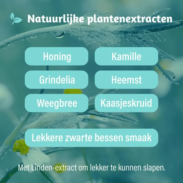 Dampo Kids Alle Hoest Nacht 100 ML