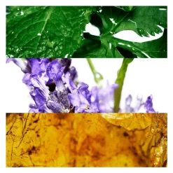 Davidoff Cool Water Men eau de toilette 40 ML