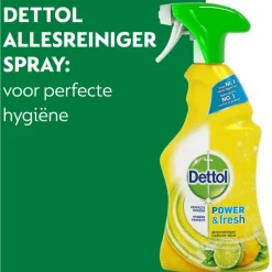 Dettol Spray Citrus 500 ML