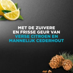 Dove Men+Care Clean Comfort Douchegel 250 ML