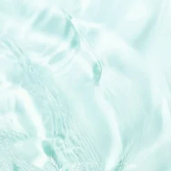 Garnier Micellair PureActive Salicylic Reinigingswater 400 ML