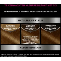 Garnier Olia Permanente Haarverf 5.3 Licht Goudbruin