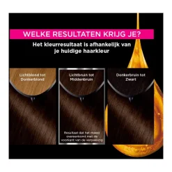 Garnier Olia Permanente Haarverf 4.0 Bruin