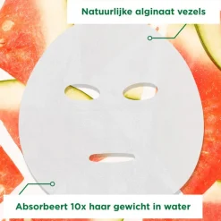 Garnier SkinActive Ampul Sheet Masker Met Watermeloen & Hyaluronzuur
