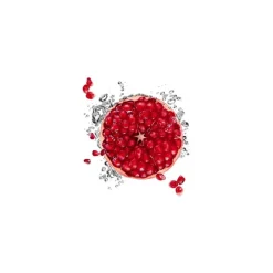 Garnier SkinActive Hydra Bomb Sheet Masker Granaatappel