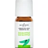 Jacob Hooy Essentiële Olie Eucalyptus 10 ML