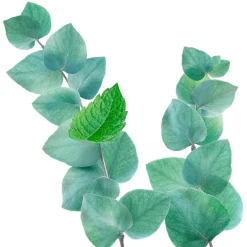 Kneipp Refreshing Badolie 100 ML