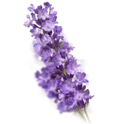 Kneipp Relaxing Bodylotion 200 ML