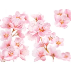 Kneipp Soft Skin Badschuim 400 ML