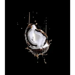 L'Oréal Paris Elvive Extraordinary Oil Haarmasker 300 ML