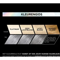 L'Oréal Paris Preference Vivids Permanente Haarverf 10.112 Silver Grey Soho