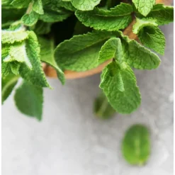 NIVEA MEN Energy Douchegel 3-in-1 Mini 50 ML