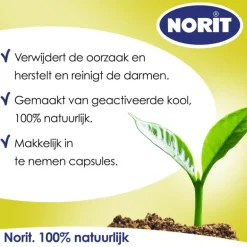 Norit 200 mg 30 Capsules