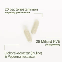 Nupure probaflor plus - Probiotica complex met pepermunt en chicorei, 60 capsules