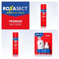 Roxasect Fruitvliegjes Vanger 1 stuk