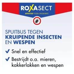 Roxasect Spuitbus Kruipende Insecten en Wespen 400 ML
