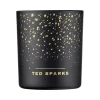 Ted Sparks Demi Candle Cinnamon & Spice
