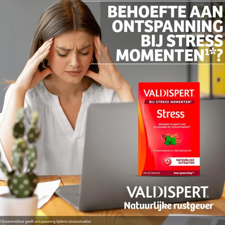 Valdispert Stress Moments 20 tabletten
