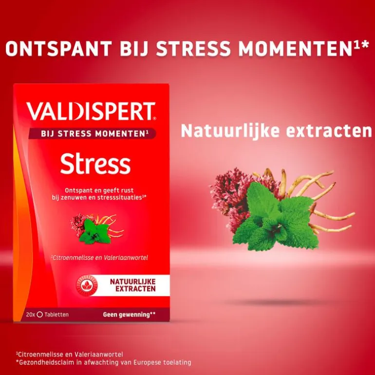 Valdispert Stress Moments 20 tabletten