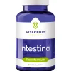 Vitakruid, Intestina