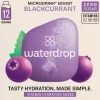 Waterdrop Microdrink Boost Black Currant 12 stuks