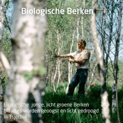 Weleda berken anti cellulitus olie 100ML