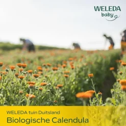 Weleda Calendula Babyshampoo & Douchecrème 200 ML