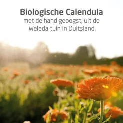 Weleda Calendula Billenbalsem 30 ML