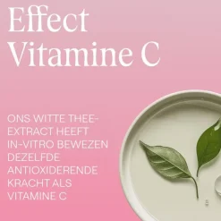 Weleda Wilde Rozen & Witte Thee Vitaliserende Dagcrème 40 ML